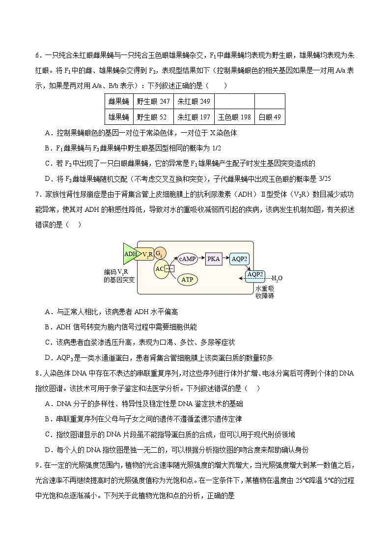 考前冲刺卷（广东、广西、福建适用）生物（原卷版）第3页