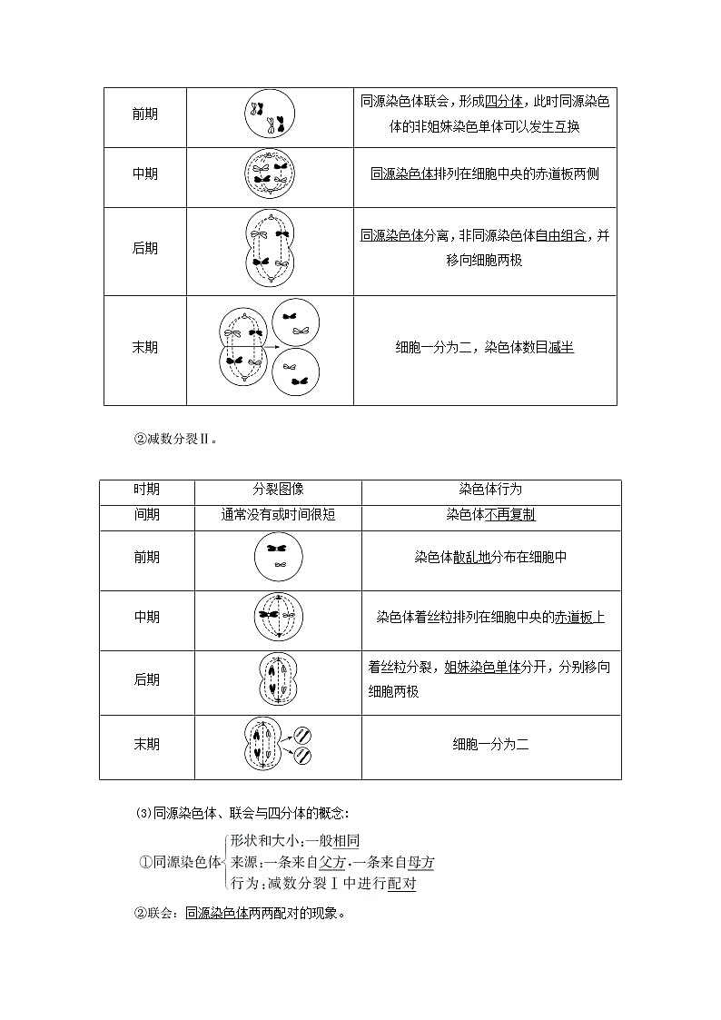 2024春新教材高中生物第2章基因和染色体的关系第1节减数分裂和受精作用第1课时减数分裂教师用书新人教版必修2第3页