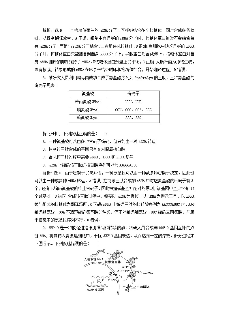 2024春新教材高中生物课时跟踪检测十三基因指导蛋白质的合成（人教版必修2）03