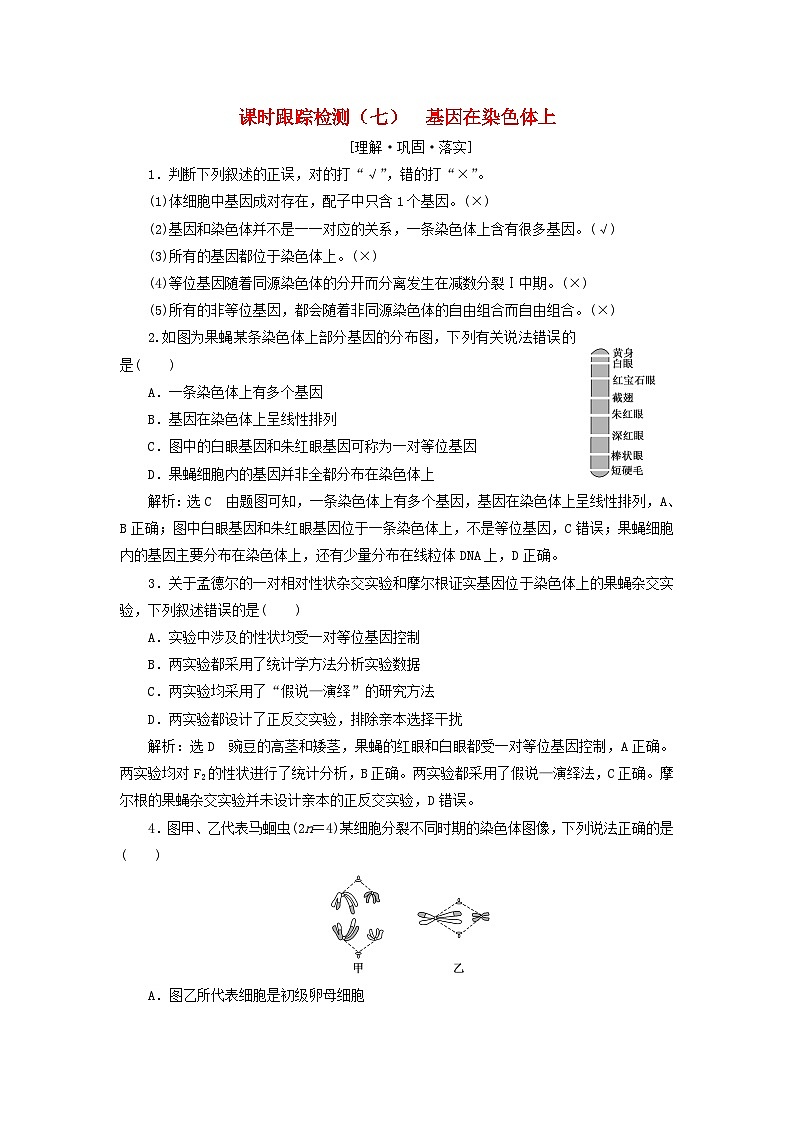 2024春新教材高中生物课时跟踪检测七基因在染色体上（人教版必修2）第1页