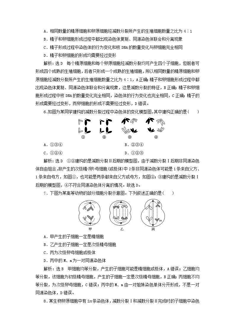 2024春新教材高中生物课时跟踪检测五减数分裂（人教版必修2）02