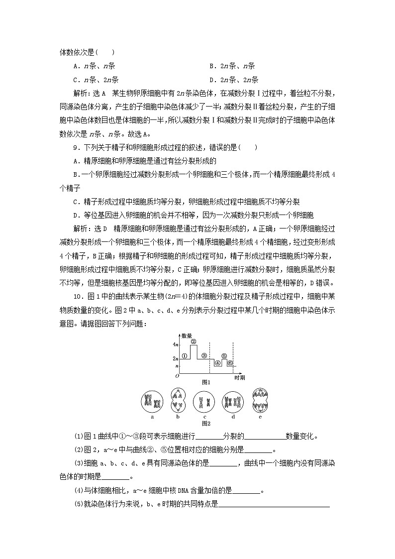 2024春新教材高中生物课时跟踪检测五减数分裂（人教版必修2）03