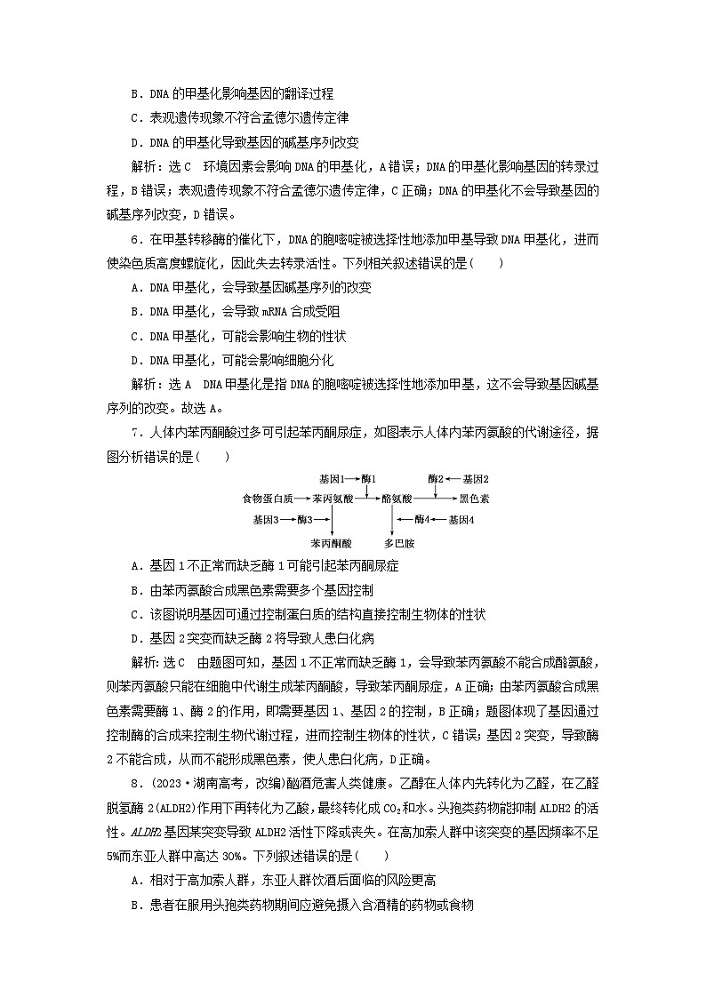 2024春新教材高中生物课时跟踪检测十四基因表达与性状的关系（人教版必修2）02