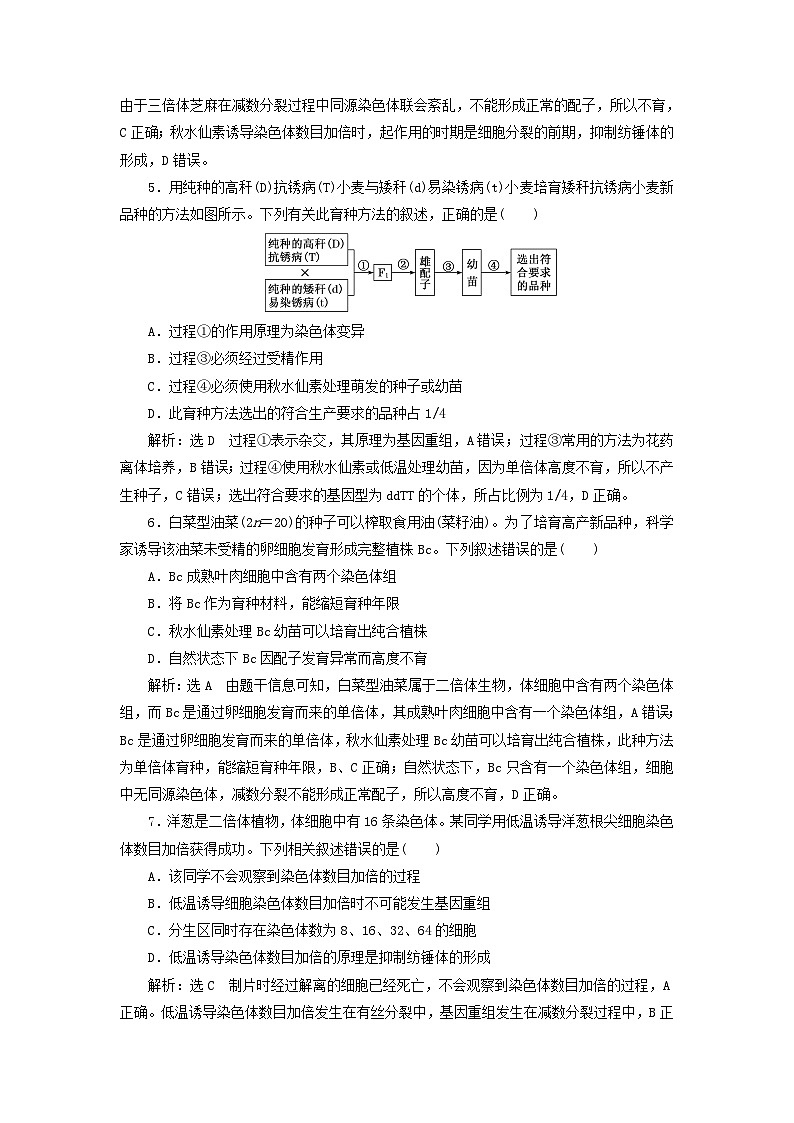 2024春新教材高中生物课时跟踪检测十六染色体变异（人教版必修2）第2页