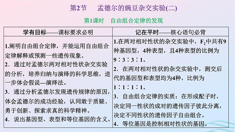 2024春新教材高中生物第1章遗传因子的发现第2节孟德尔的豌豆杂交实验二第1课时自由组合定律的发现课件（人教版必修2）第1页