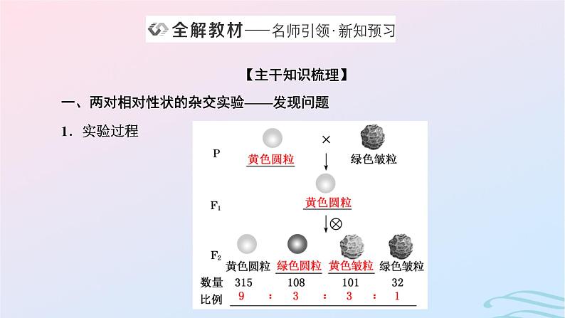 2024春新教材高中生物第1章遗传因子的发现第2节孟德尔的豌豆杂交实验二第1课时自由组合定律的发现课件（人教版必修2）第2页