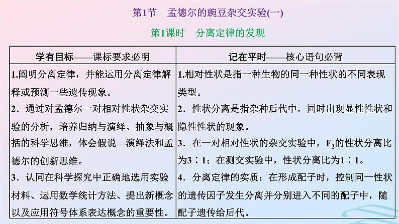 2024春新教材高中生物第1章遗传因子的发现第1节孟德尔的豌豆杂交实验一第1课时分离定律的发现课件（人教版必修2）03