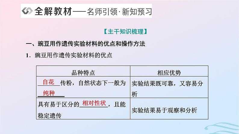 2024春新教材高中生物第1章遗传因子的发现第1节孟德尔的豌豆杂交实验一第1课时分离定律的发现课件（人教版必修2）04