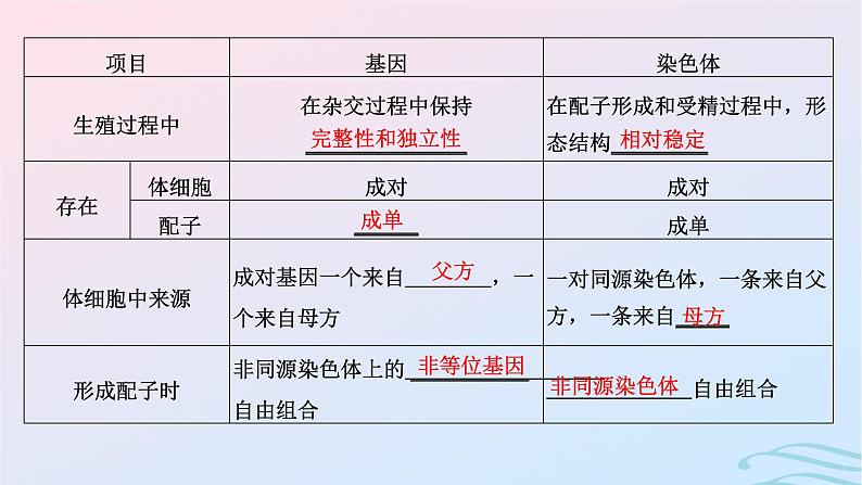 2024春新教材高中生物第2章基因和染色体的关系第2节基因在染色体上课件（人教版必修2）03