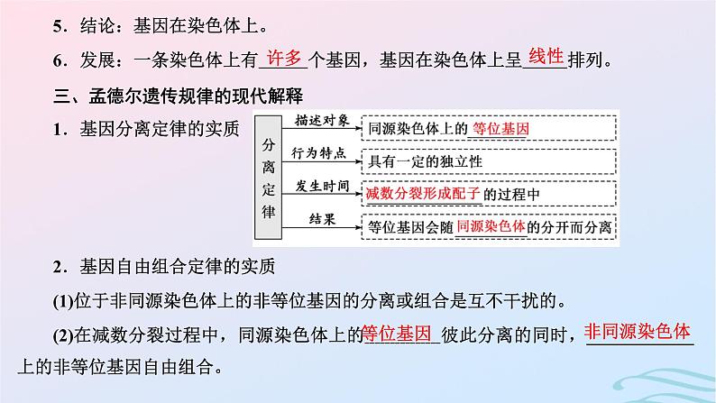 2024春新教材高中生物第2章基因和染色体的关系第2节基因在染色体上课件（人教版必修2）06