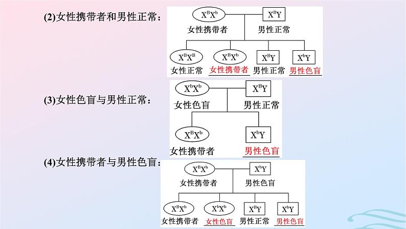 2024春新教材高中生物第2章基因和染色体的关系第3节伴性遗传课件（人教版必修2）04