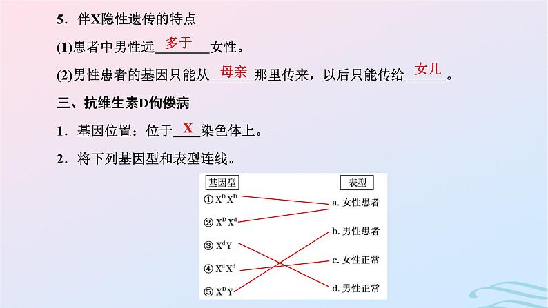 2024春新教材高中生物第2章基因和染色体的关系第3节伴性遗传课件（人教版必修2）05