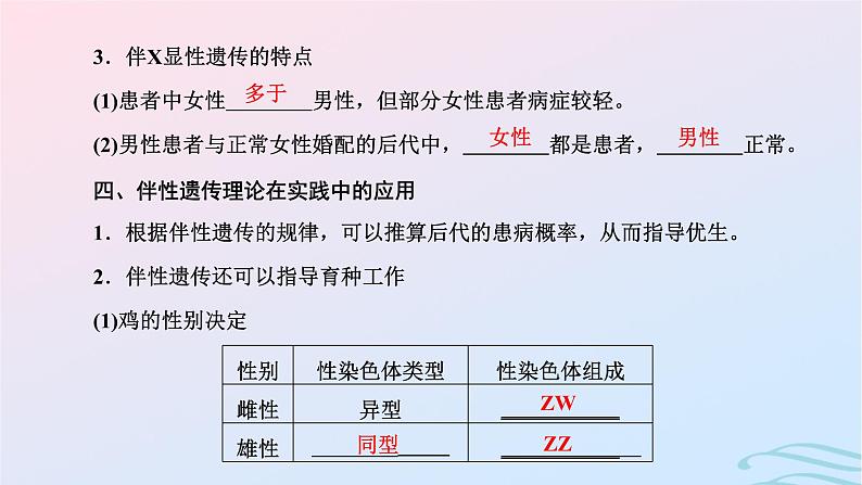 2024春新教材高中生物第2章基因和染色体的关系第3节伴性遗传课件（人教版必修2）06