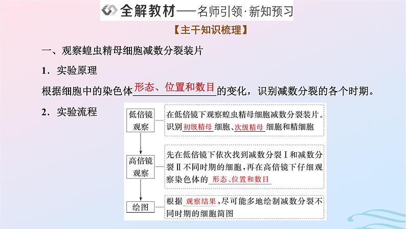 2024春新教材高中生物第2章基因和染色体的关系第1节减数分裂和受精作用第2课时受精作用课件（人教版必修2）02