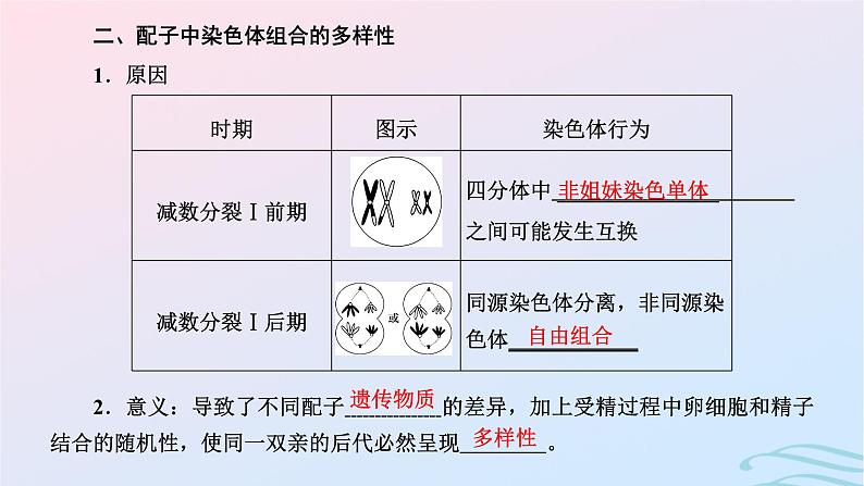 2024春新教材高中生物第2章基因和染色体的关系第1节减数分裂和受精作用第2课时受精作用课件（人教版必修2）03