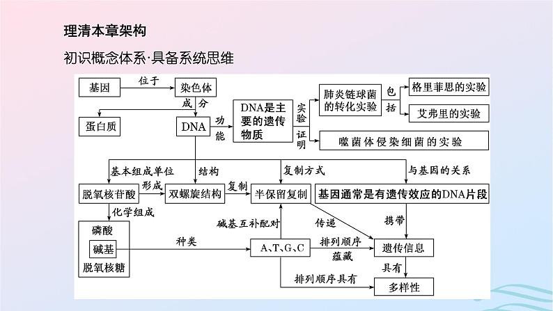 2024春新教材高中生物第3章基因的本质第1节DNA是主要的遗传物质课件（人教版必修2）第3页