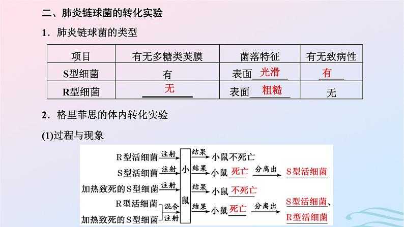 2024春新教材高中生物第3章基因的本质第1节DNA是主要的遗传物质课件（人教版必修2）第6页