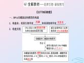2024春新教材高中生物第3章基因的本质第2节DNA的结构课件（人教版必修2）