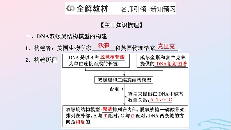 2024春新教材高中生物第3章基因的本质第2节DNA的结构课件（人教版必修2）02