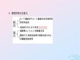 2024春新教材高中生物第3章基因的本质第2节DNA的结构课件（人教版必修2）