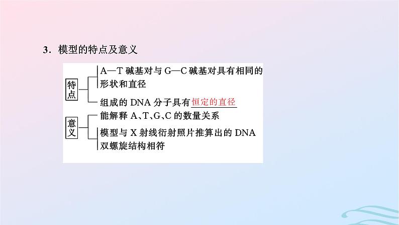 2024春新教材高中生物第3章基因的本质第2节DNA的结构课件（人教版必修2）03