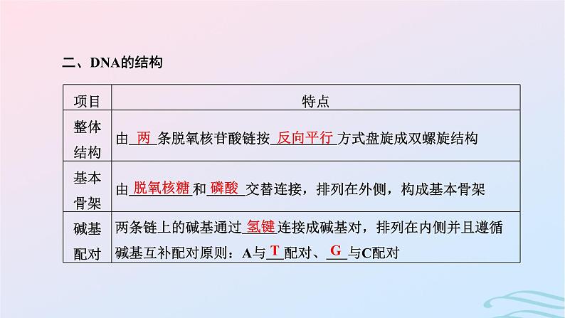 2024春新教材高中生物第3章基因的本质第2节DNA的结构课件（人教版必修2）04
