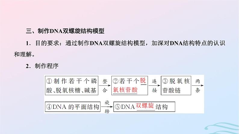 2024春新教材高中生物第3章基因的本质第2节DNA的结构课件（人教版必修2）05