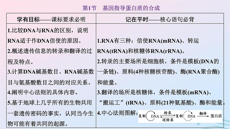 2024春新教材高中生物第4章基因的表达第1节基因指导蛋白质的合成课件（人教版必修2）04