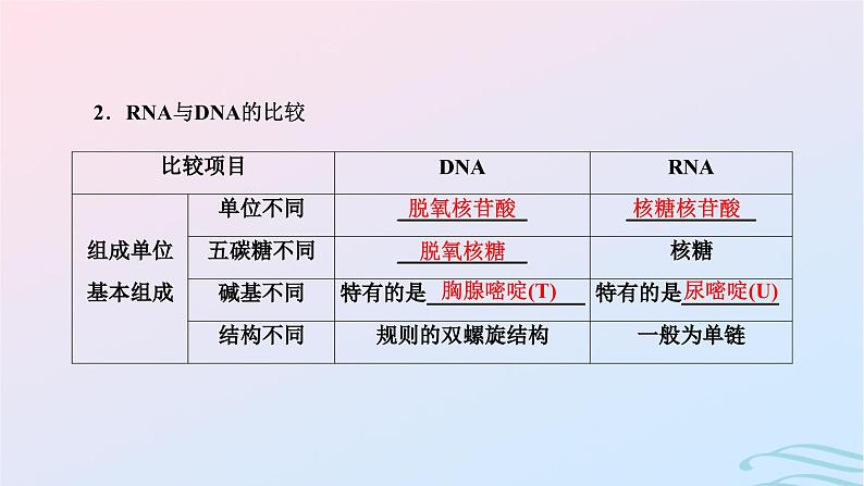 2024春新教材高中生物第4章基因的表达第1节基因指导蛋白质的合成课件（人教版必修2）06