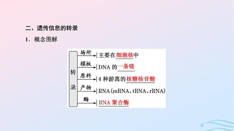 2024春新教材高中生物第4章基因的表达第1节基因指导蛋白质的合成课件（人教版必修2）08