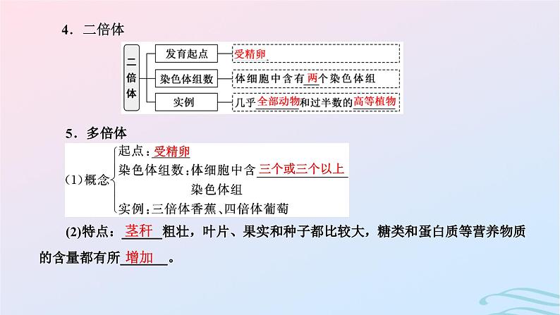 2024春新教材高中生物第5章基因突变及其他变异第2节染色体变异课件（人教版必修2）第3页