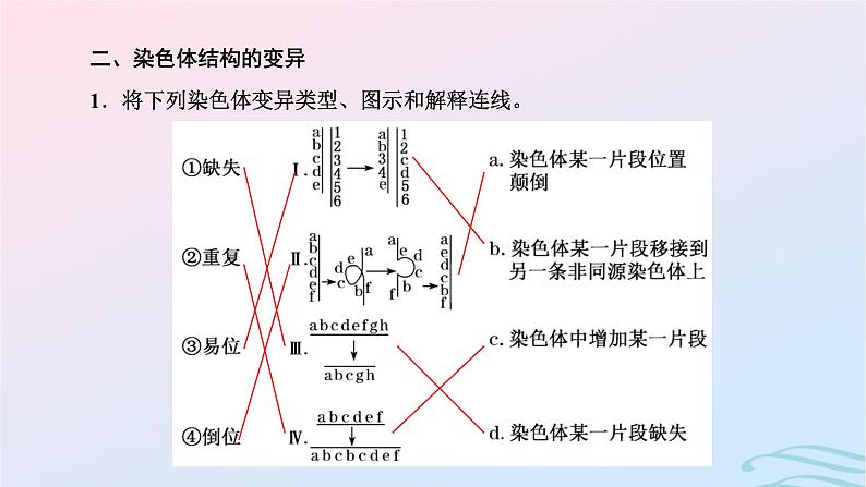 2024春新教材高中生物第5章基因突变及其他变异第2节染色体变异课件（人教版必修2）第6页