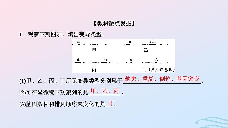 2024春新教材高中生物第5章基因突变及其他变异第2节染色体变异课件（人教版必修2）第8页