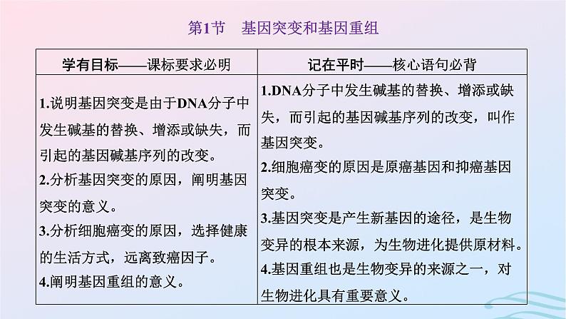 2024春新教材高中生物第5章基因突变及其他变异第1节基因突变和基因重组课件（人教版必修2）第4页