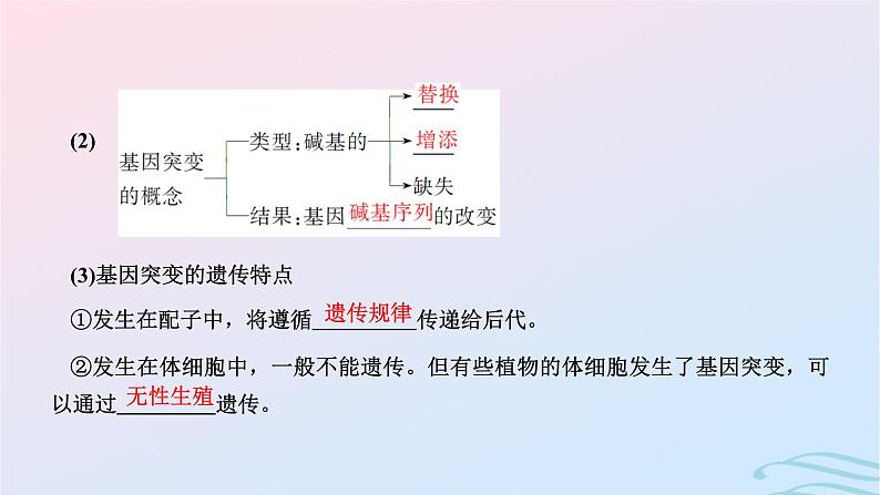 2024春新教材高中生物第5章基因突变及其他变异第1节基因突变和基因重组课件（人教版必修2）第6页