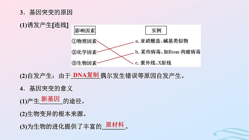 2024春新教材高中生物第5章基因突变及其他变异第1节基因突变和基因重组课件（人教版必修2）第8页