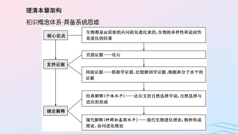 2024春新教材高中生物第6章生物的进化第12节生物有共同祖先的证据自然选择与适应的形成课件（人教版必修2）03