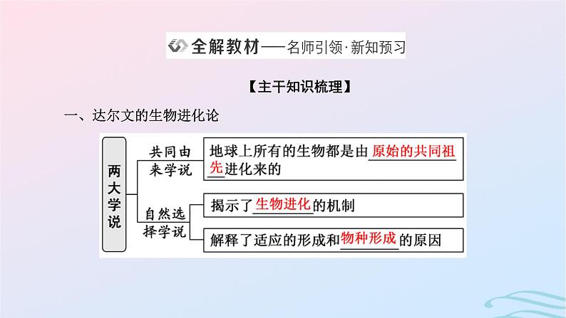 2024春新教材高中生物第6章生物的进化第12节生物有共同祖先的证据自然选择与适应的形成课件（人教版必修2）05