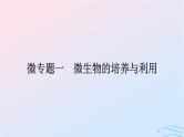 2024春高中生物第1章发酵工程微专题一微生物的培养与利用课件（人教版选择性必修3）
