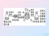 2024春高中生物第1章发酵工程微专题一微生物的培养与利用课件（人教版选择性必修3）