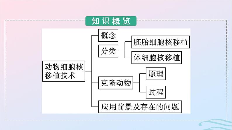 2024春高中生物第2章细胞工程第2节第3课时动物体细胞核移植技术和克隆动物课件（人教版选择性必修3）第3页