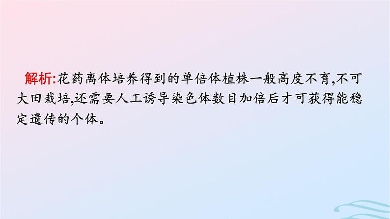 2024春高中生物第2章细胞工程微专题二细胞工程及其应用课件（人教版选择性必修3）05