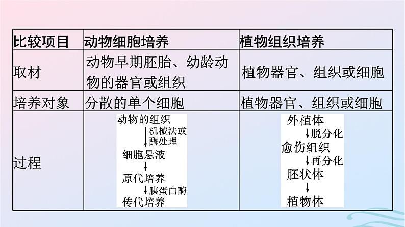 2024春高中生物第2章细胞工程微专题二细胞工程及其应用课件（人教版选择性必修3）08