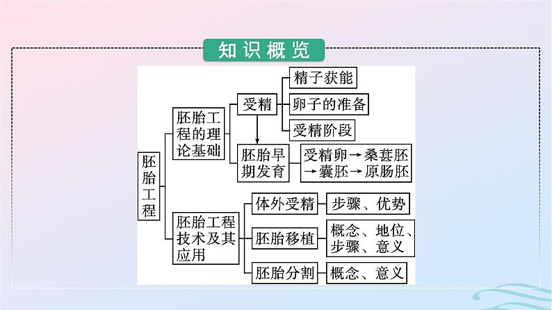 2024春高中生物第2章细胞工程第3节胚胎工程课件（人教版选择性必修3）03