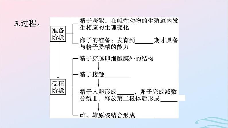 2024春高中生物第2章细胞工程第3节胚胎工程课件（人教版选择性必修3）07