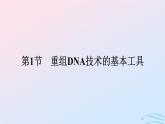 2024春高中生物第3章基因工程第1节重组DNA技术的基本工具课件（人教版选择性必修3）