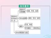 2024春高中生物第3章基因工程第1节重组DNA技术的基本工具课件（人教版选择性必修3）