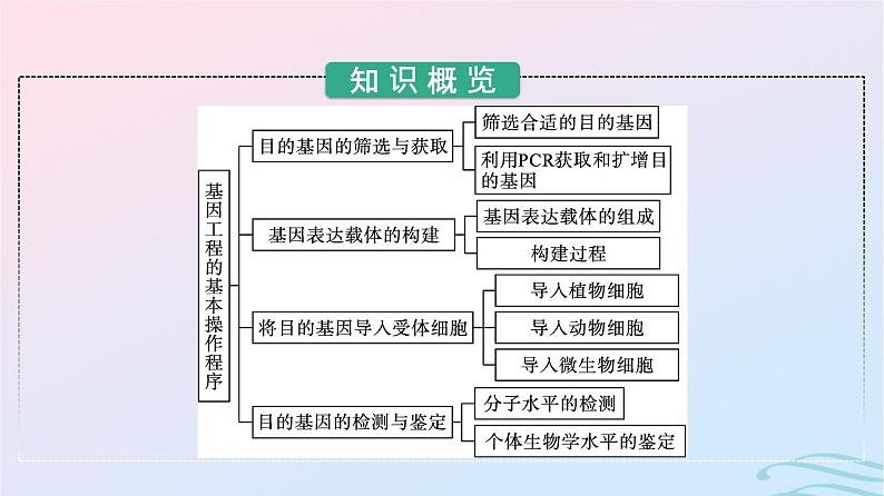 2024春高中生物第3章基因工程第2节基因工程的基本操作程序课件（人教版选择性必修3）第3页