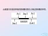 2024春高中生物第3章基因工程微專題三基因工程及其應(yīng)用課件（人教版選擇性必修3）