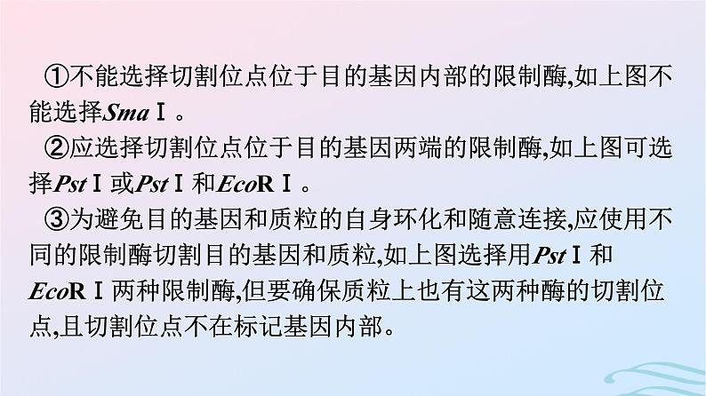 2024春高中生物第3章基因工程微专题三基因工程及其应用课件（人教版选择性必修3）05